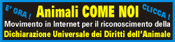 IL 10 DICEMBRE GIORNATA NAZIONALE PER I DIRITTI ANIMALI! E' ORA !!!