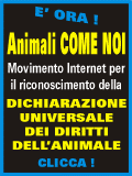 IL 10 DICEMBRE GIORNATA NAZIONALE PER I DIRITTI ANIMALI! E' ORA !!!